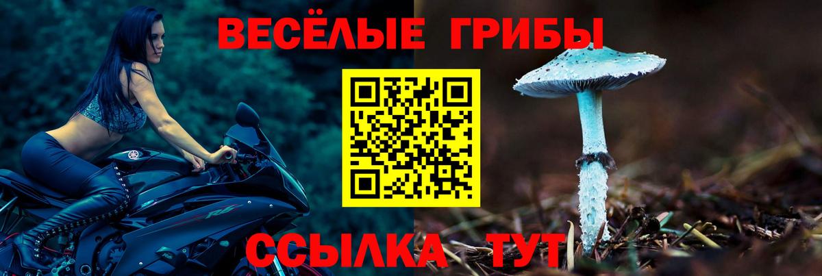 Благодарный  Галлюциногенные грибы прущие грибы  Вход с VPN 